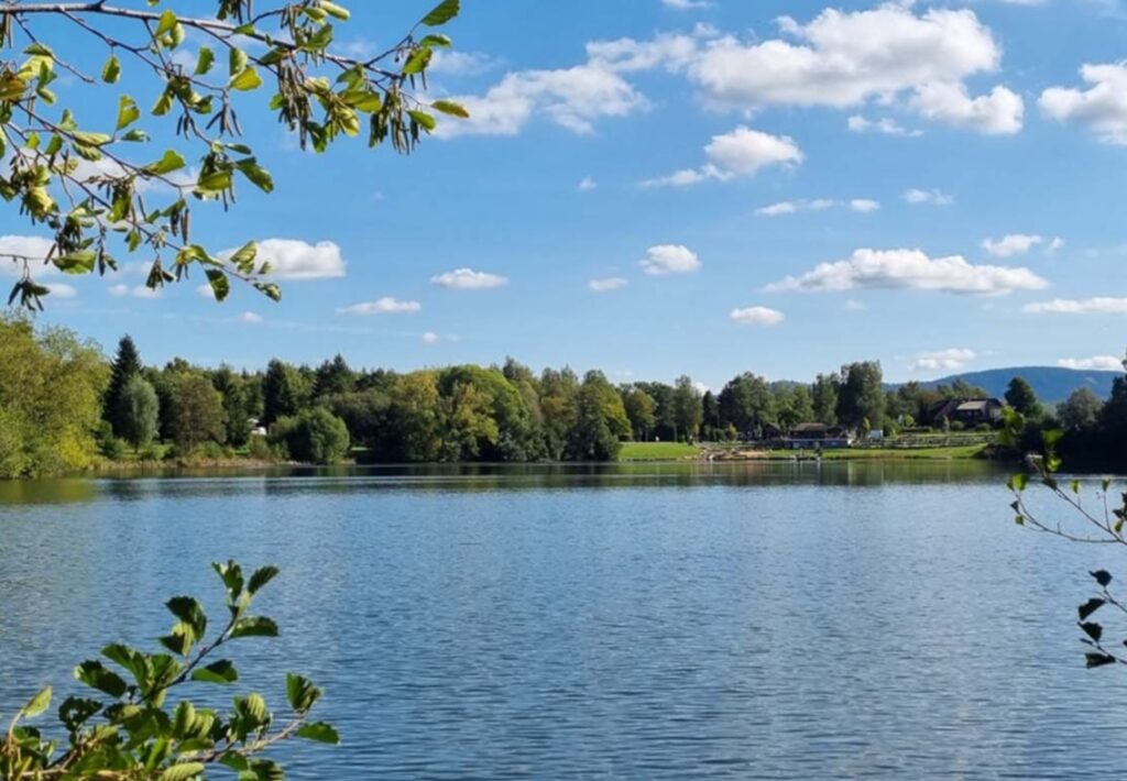 Blick auf den Humboldtsee