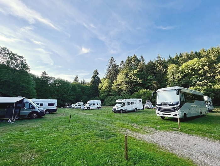 Stellplätze auf der Waldwiese des Waldcamping Birkendorf