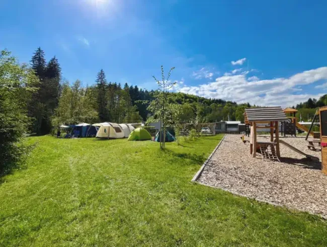 Waldcamping-Birkendorf-Zeltwiese.jpg